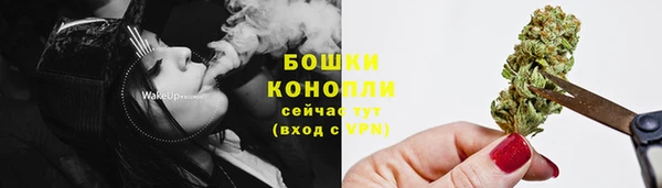 2c-b Ладушкин