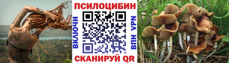 Галлюциногенные грибы ЛСД  где можно купить наркотик  Чапаевск 