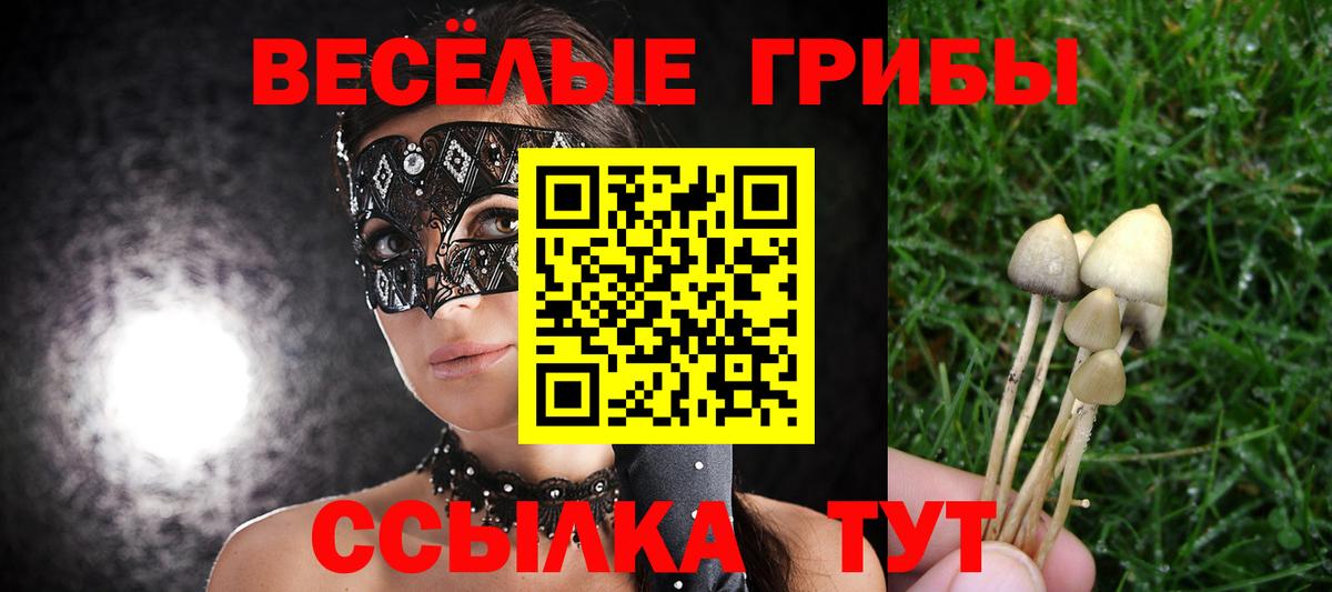 где купить наркотик  Чапаевск  Псилоцибиновые грибы GOLDEN TEACHER 