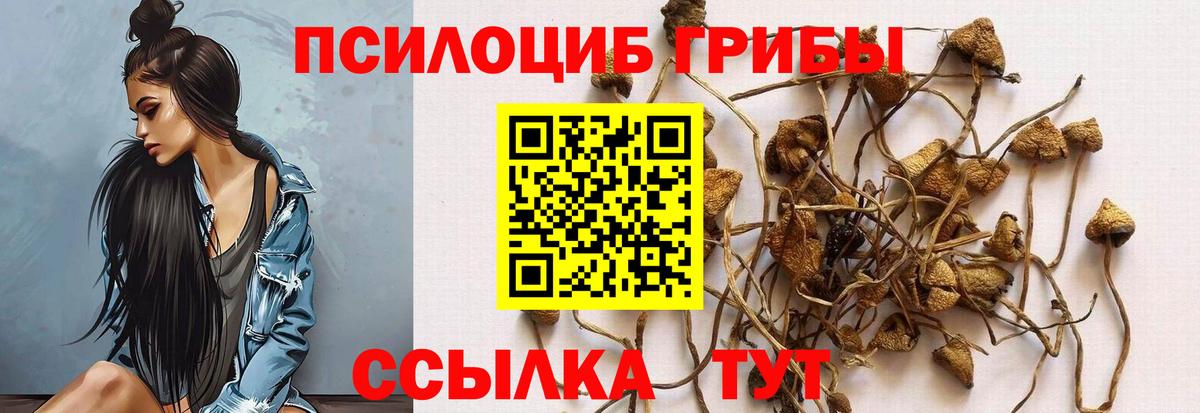 Псилоцибиновые грибы MAGIC MUSHROOMS  Вход с VPN  Галлюциногенные грибы MAGIC MUSHROOMS  Чапаевск 